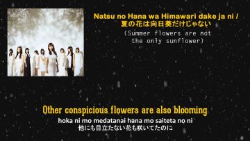 Imaizumi Yui – Natsu no Hana wa Himawari dake ja nai (English Sub)