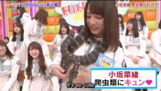 [EP01] HINABINGO!: Questionnaire Examination (English Sub)