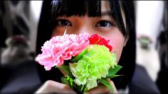 Hirate Yurina 2nd Single Individual PV (English Sub)