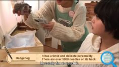 Hirate Yurina Selfie TV (English Sub)