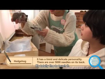 Hirate Yurina Selfie TV (English Sub)
