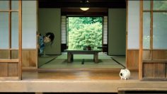 Sugai Yuuka 2nd Single Individual PV (English Sub)