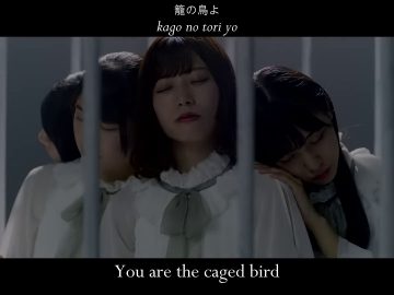 Cage3