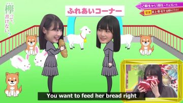 [EP218] Keyakitte, Kakenai?: Valentine’s Day Chocolate Part 2 (English Sub)