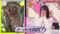 [EP015] Soko Magattara, Sakurazaka?: Sakurazaka46 Sense Queen Championship Part 1 (English Sub)