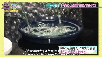 Numa ni Hamatte Kiite Mita (Kawata Hina) 2021.03.02 (English Subbed)