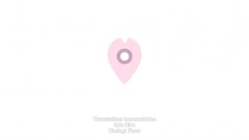 Sakura Meguri: Uemura Rina x Ozeki Rika x Harada Aoi (English Sub)