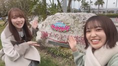 Go_To_Sakuratabi_in_Miyazaki_v4_final.mp4_snapshot_00.06.378