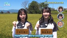 240915 Hinatazaka de Aimashou ep279 [1080p.h264.60fps].mp4_snapshot_01.33.493