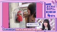 240922 Soko Magattara, Sakurazaka Ep202 [1080P H264 60Fps](2).mp4_snapshot_06.07.130