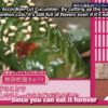 [EP 244.5] Soko Magattara, Sakurazaka?: Chokosaku #67 (English Sub)